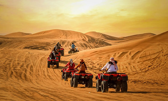 Desert Safari Experience